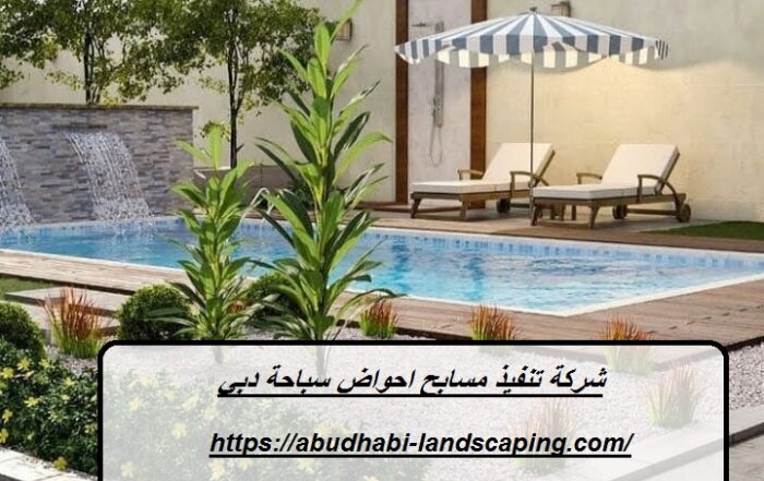 شركة تنفيذ مسابح احواض سباحة دبي