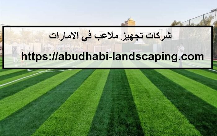 شركات تجهيز ملاعب في الامارات
